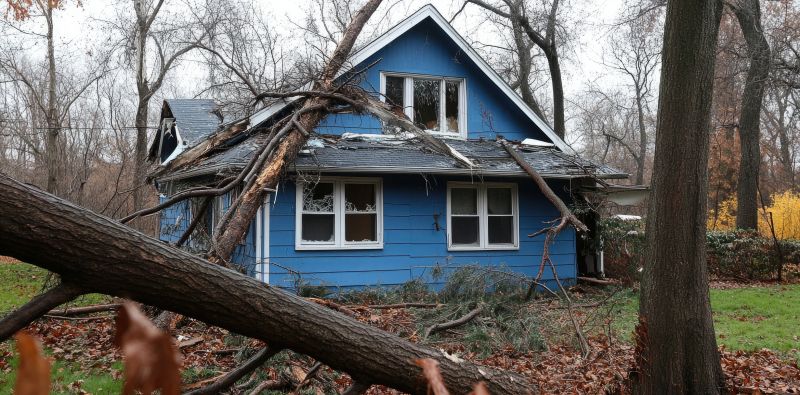 Increase Your Tree Trimming Business with an AI Driven, Targeted Website