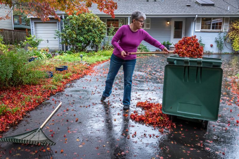Fall Cleanup Benefits